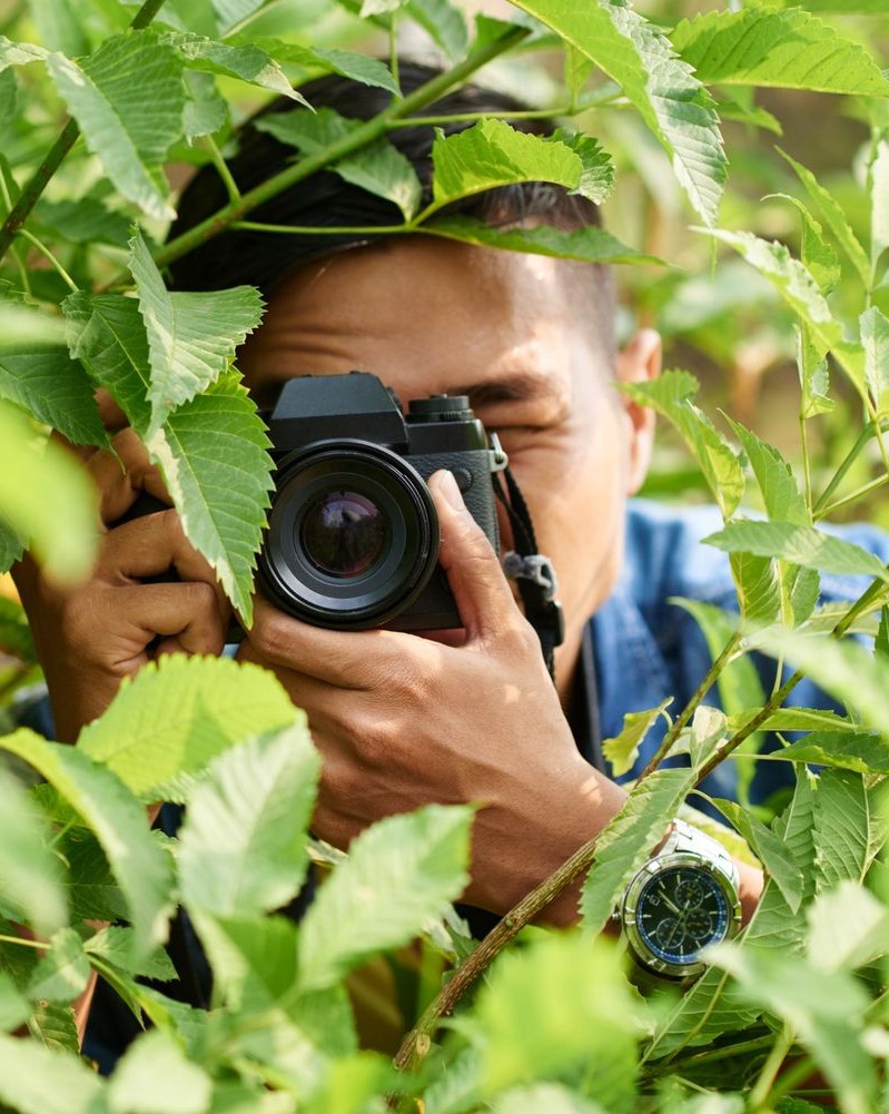 Nature Portfolio